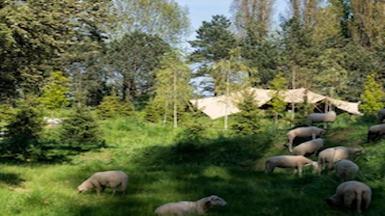 Uitvaartverzorging-Den-Haag-Natuurbegraafplaats-Hofwijk
