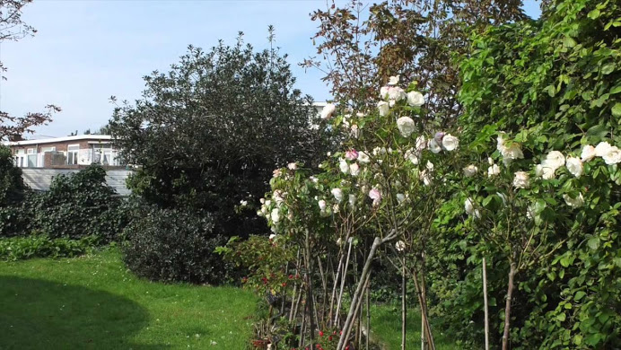 Begraafplaats Ter Navolging